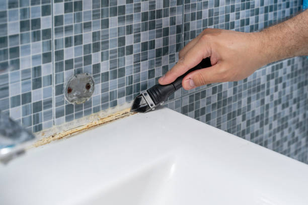 Professional Mold Removal in Hartford, KY